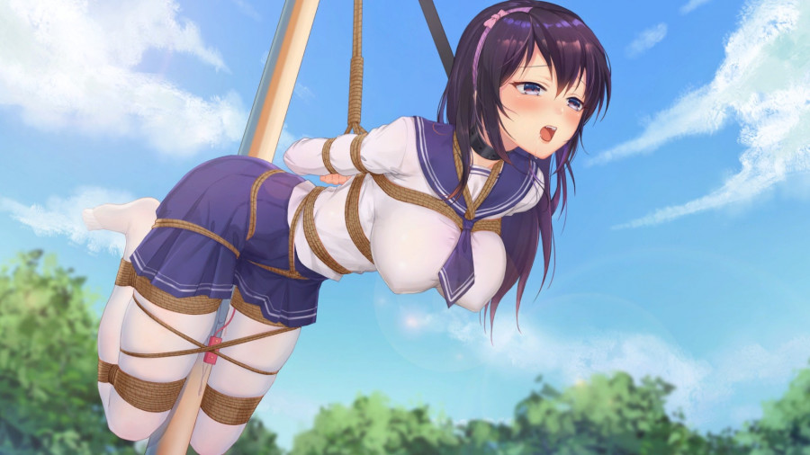 DSGame - Seek Girl VI Porn Game